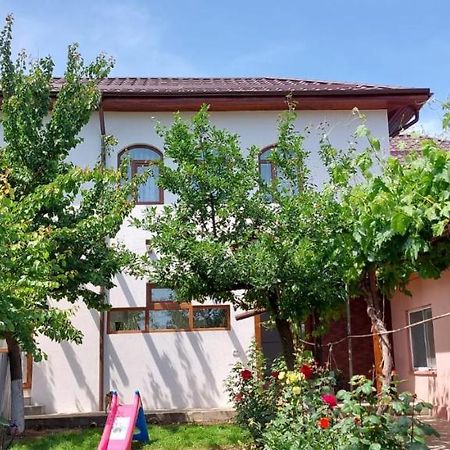 Agropensiunea Olteanu Niculitel Bagian luar foto