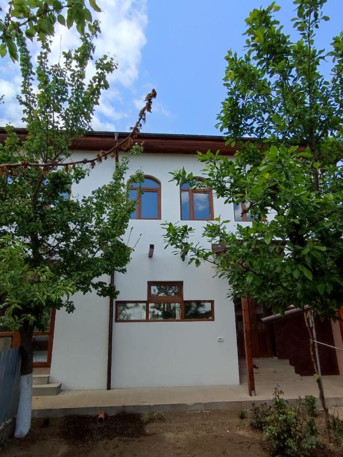 Agropensiunea Olteanu Niculitel Bagian luar foto