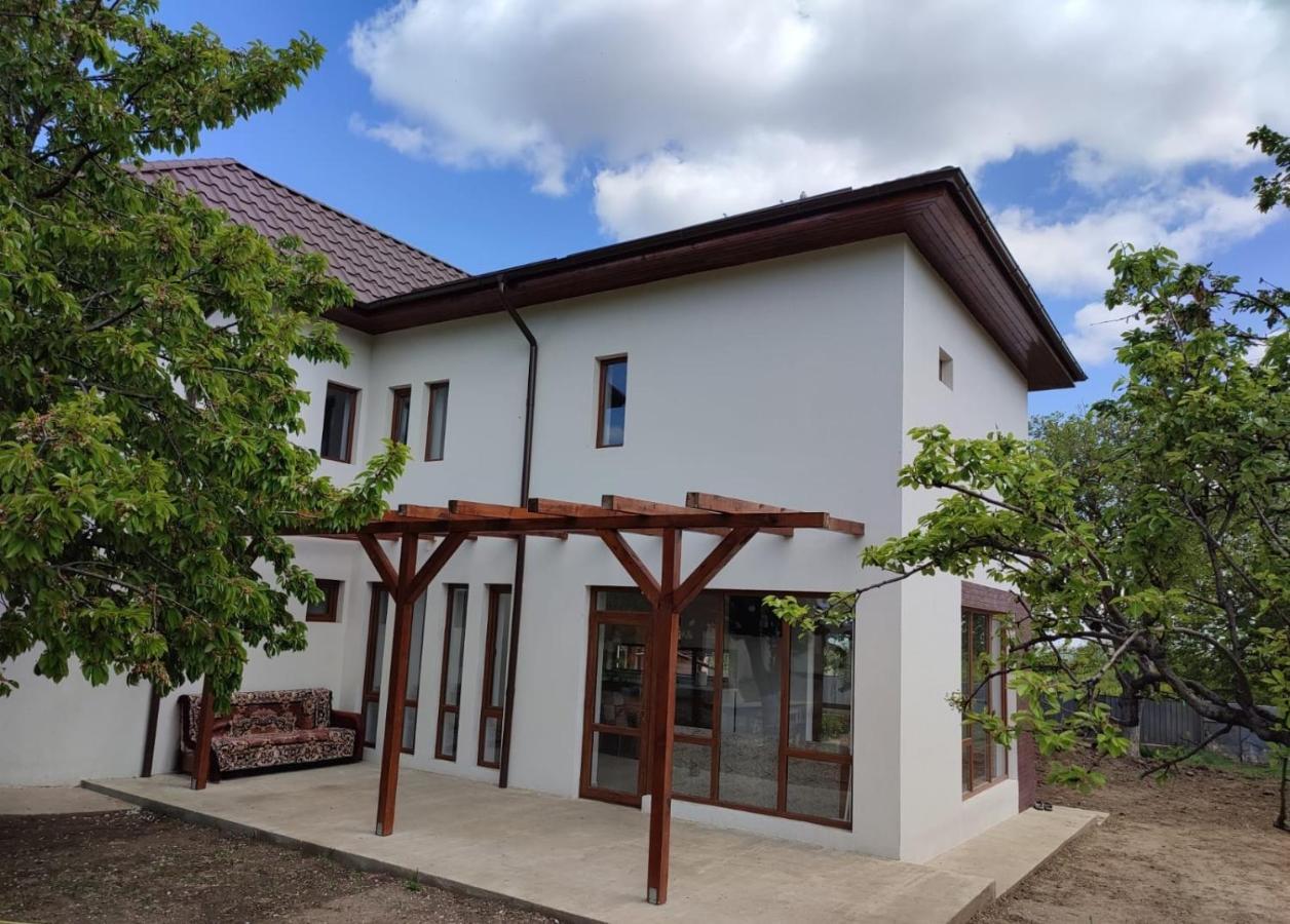 Agropensiunea Olteanu Niculitel Bagian luar foto