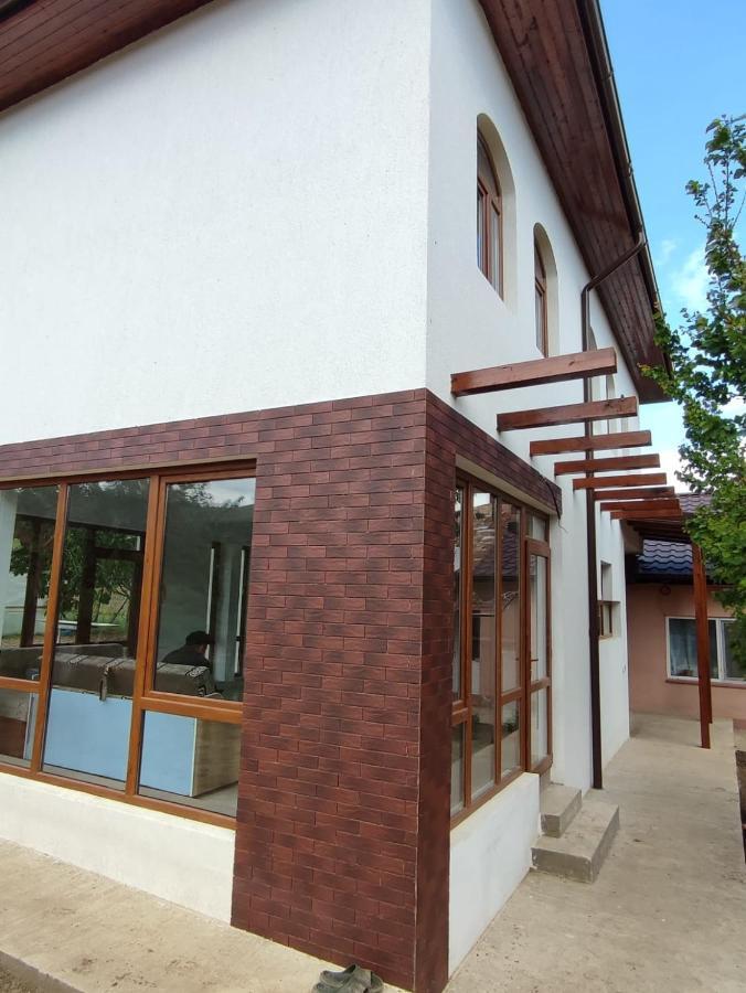 Agropensiunea Olteanu Niculitel Bagian luar foto