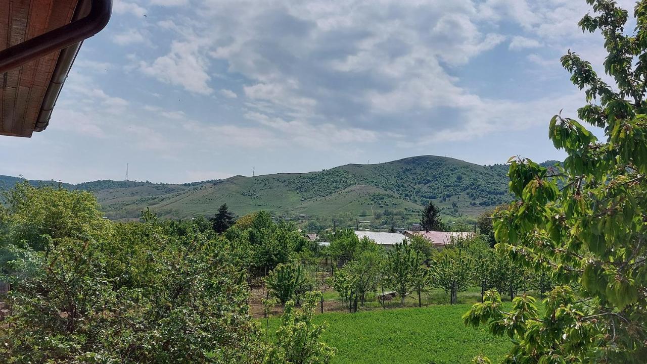 Agropensiunea Olteanu Niculitel Bagian luar foto