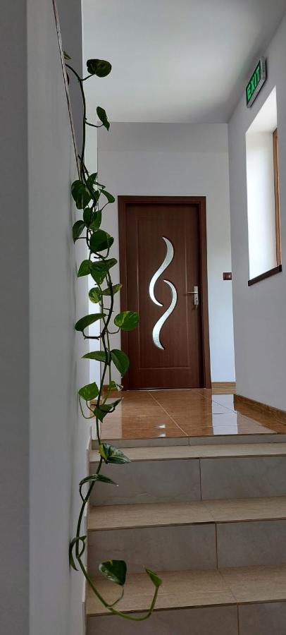 Agropensiunea Olteanu Niculitel Bagian luar foto