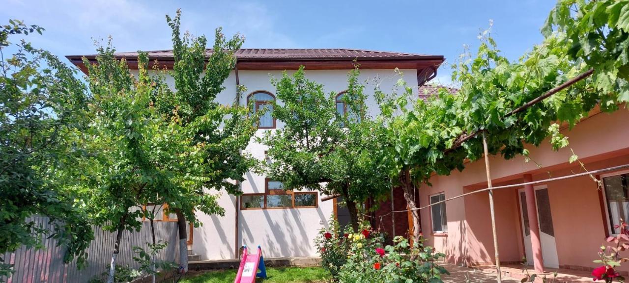 Agropensiunea Olteanu Niculitel Bagian luar foto