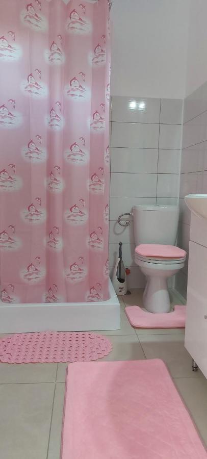 Agropensiunea Olteanu Niculitel Bagian luar foto