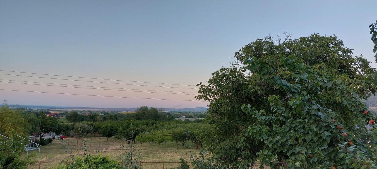 Agropensiunea Olteanu Niculitel Bagian luar foto